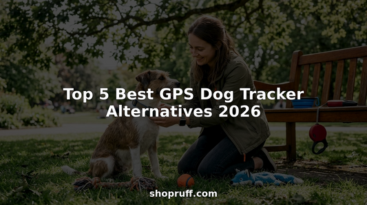 Woman attaching GPS tracker to her dog collar outdoors